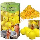 18086 Sports And Outdoors Golf 783956918086