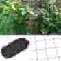 400751 Topeakmart Brand New Bird Netting 50 X Net For Poultry Aviary Game Pens