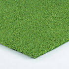 Alg-pacific-3 X 5 Allgreen Pacific 635983913285