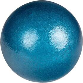 Champro 445020612698 Cast Iron Shot Put