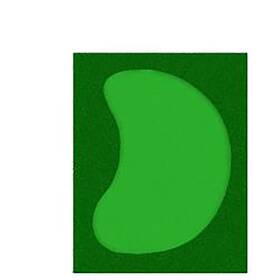 Cmal-ncpgps15x19k Cimarron Sports Complete Par Saver Putting Green With Symbior Fringe Kidney In 15ftx19ft