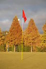 Exe8 Exeter Set Of 18 Golf