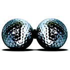Ng-pinballs Nectar Golf Pin Balls Putting Aid New 501877034780