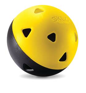 2762 Sklz Mini Impact Balls