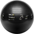 Undisclosed Sklz Sport Performance Trainer Ball Self-guided Stability 831345005098