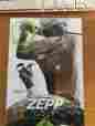 Za2g1ne Golf Zepp 2 Swing Analysis Nib Free Shipping
