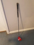 Swing Coach Golf Training Club Rh. Fixed Price $24.99.