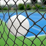 Golf Practice Barrier Ball Sports High Impact Hitting Netting 10X10FT/10X15F. Fixed Price $39.99.