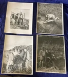 RP3684 Vtg Anchorage Alaska 1930'S Hunting Camp Brown Bear B&w Photos Lot X4. Fixed Price $25.32.