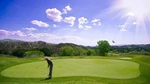 Proscreens Series Large 108" X 144" Golf Simulator Impact Screen, Real Balls. Fixed Price $339.99.