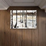 Begin Home Decor CODM1724HNQHX7 In. Winter Swamp Indoor Outdoor .... Fixed Price $35.62.