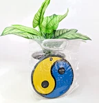 Scotty Cameron Putting Disk Yin Yang - Yellow/blue. Fixed Price $39.93.