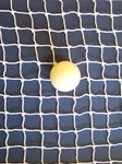 10' X 1.5' (10 Ft By Inch) White Square #18 Nylon Golf/impact Netting 3/4". Fixed Price $17.19.