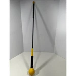 Sklz Gold Flex 40 Golf Swing Trainer Training Aid Yellow Black Weighted Ball. Fixed Price $39.90.