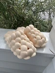 Massage Bubble Slides Slippers For Women/men Non-slip Soft Golf Ball (unisex). Fixed Price $9.99.