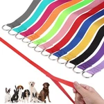 Homimp Slip Lead Dog 6 Ft- 48 Pcs Bulk Colors Kennel Control Leashes Fo.... Fixed Price $62.15.