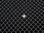 20' X 6' Multi Sport Golf Baseball Hockey Barrier Netting #3/4 Mesh #7. Fixed Price $45.62.