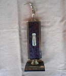 Golf Trophy Award Men S Low Net Gold Colored. Fixed Price $9.32.