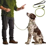 Beaugo Slip Leads For Dogs Professional Trainer Leashes,easily Training Your. Fixed Price $34.19.
