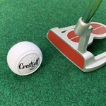 The Pill Ball Crestgolf Practice Putting Chipping Training Aid Us Shipping. Fixed Price $13.01.