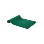 Callaway Golf Executive Putting Mat, Training Aid 2' 8'. Fixed Price $52.95.