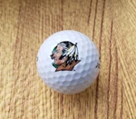 North Dakota Fighting Sioux Top Flite Putting Green Golf Ball (1) One. Fixed Price $15.99.
