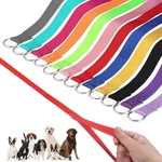 Homimp Slip Lead Dog 6 Ft- 48 Pcs Bulk Colors Kennel Control Leashes For. Fixed Price $47.40.