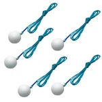 Tabata Golf Spare Balls (5-PIECE Set) GV8041. Fixed Price $32.78.