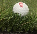 2 Ft X 3 Ultra Golf Club Mat Chipping Residential Fairway Rough Practice. Fixed Price $27.90.